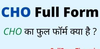 CHO Full Form in Hindi and English – सीएचओ का फुल फॉर्म क्या होता है CHO Full Form in Hindi and English – सीएचओ का फुल फॉर्म क्या होता है