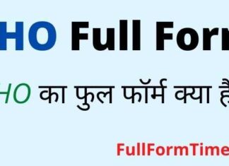 CHO Full Form in Hindi and English – सीएचओ का फुल फॉर्म क्या होता है CHO Full Form in Hindi and English – सीएचओ का फुल फॉर्म क्या होता है