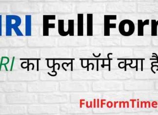 NRI Full Form in Hindi and English – एनआरआई का फुल फॉर्म क्या होता है NRI Full Form in Hindi and English – एनआरआई का फुल फॉर्म क्या होता है