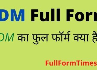 SDM Full Form in Hindi and English – एसडीएम का फुल फॉर्म क्या होता है SDM Full Form in Hindi and English - एसडीएम का फुल फॉर्म क्या होता है