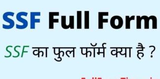 SSF Full Form in Hindi and English – एसएसएफ का फुल फॉर्म क्या होता है SSF Full Form in Hindi and English – एसएसएफ का फुल फॉर्म क्या होता है