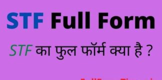 STF Full Form in Hindi and English – एसटीएफ का फुल फॉर्म क्या होता है STF Full Form in Hindi and English - एसटीएफ का फुल फॉर्म क्या होता है