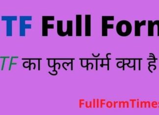 STF Full Form in Hindi and English – एसटीएफ का फुल फॉर्म क्या होता है STF Full Form in Hindi and English - एसटीएफ का फुल फॉर्म क्या होता है