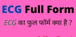 ECG Full Form in Hindi & English – ईसीजी का फुल फॉर्म मेडिकल में क्या है ECG Full Form in Hindi & English - ईसीजी का फुल फॉर्म मेडिकल में क्या है