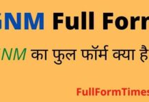 GNM Full Form in Hindi and English – जीएनएम का फुल फॉर्म नर्सिंग में क्या है GNM Full Form in Hindi and English - जीएनएम का फुल फॉर्म नर्सिंग में क्या है