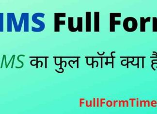 MMS Full Form in Hindi and English – एमएमएस का फुल फॉर्म क्या होता है MMS Full Form in Hindi and English - एमएमएस का फुल फॉर्म क्या होता है
