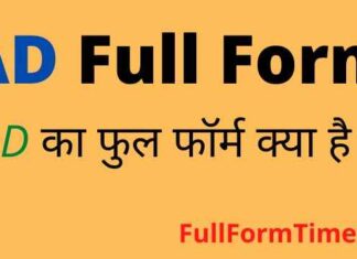 AD Full Form in Hindi and English – एडी का फुल फॉर्म और मतलब क्या होता है AD Full Form in Hindi and English - एडी का फुल फॉर्म और मतलब क्या होता है