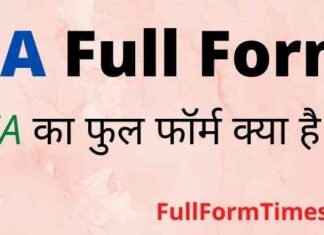 CA Full Form in Hindi and English – सीए का फुल फॉर्म हिंदी में क्या होता है CA Full Form in Hindi and English - सीए का फुल फॉर्म हिंदी में क्या होता है