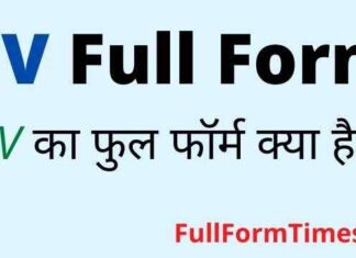 CV Full Form in Hindi & English – सीवी का फुल फॉर्म और मतलब क्या होता है CV Full Form in Hindi & English - सीवी का फुल फॉर्म और मतलब क्या होता है