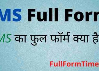 IMS Full Form in Hindi and English – आईएमएस का फुल फॉर्म क्या होता है IMS Full Form in Hindi and English - आईएमएस का फुल फॉर्म क्या होता है