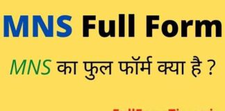 MNS Full Form in Hindi and English – एमएनएस का फुल फॉर्म क्या होता है MNS Full Form in Hindi and English - एमएनएस का फुल फॉर्म क्या होता है