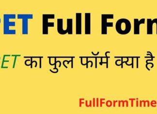 PET Full Form in Hindi and English – पीईटी Exam का फुल फॉर्म क्या होता है PET Full Form in Hindi and English - पीईटी Exam का फुल फॉर्म क्या होता है