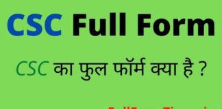 CSC Full Form in Hindi & English – सीएससी का फुल फॉर्म क्या होता है ? CSC Full Form in Hindi & English - सीएससी का फुल फॉर्म क्या होता है ?
