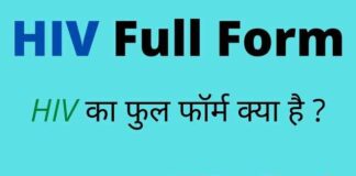 HIV Full Form in Hindi and English – एचआईवी का फुल फॉर्म क्या है ? HIV Full Form in Hindi and English - एचआईवी का फुल फॉर्म क्या है ?