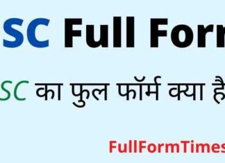HSC Full Form in Hindi / English – एचएससी का फुल फॉर्म क्या होता है ? HSC Full Form in Hindi / English - एचएससी का फुल फॉर्म क्या होता है ?