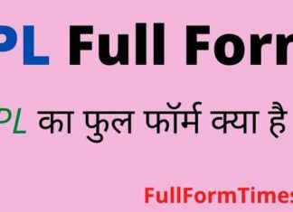 IPL Full Form in Hindi & English – आईपीएल का फुल फॉर्म क्या होता है ? IPL Full Form in Hindi & English - आईपीएल का फुल फॉर्म क्या होता है ?