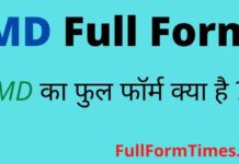 MD Full Form in Hindi and English – एमडी का फुल फॉर्म क्या होता है ? MD Full Form in Hindi and English - एमडी का फुल फॉर्म क्या होता है ?