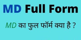 MD Full Form in Hindi and English – एमडी का फुल फॉर्म क्या होता है ? MD Full Form in Hindi and English - एमडी का फुल फॉर्म क्या होता है ?
