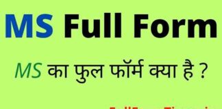 MS Full Form in Hindi and English – एमएस का फुल फॉर्म क्या होता है ? MS Full Form in Hindi and English - एमएस का फुल फॉर्म क्या होता है ?