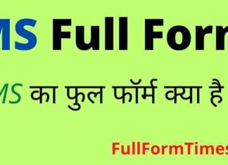 MS Full Form in Hindi and English – एमएस का फुल फॉर्म क्या होता है ? MS Full Form in Hindi and English - एमएस का फुल फॉर्म क्या होता है ?