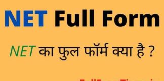 NET Full Form in Hindi and English – नेट का फुल फॉर्म क्या होता है ? NET Full Form in Hindi and English - नेट का फुल फॉर्म क्या होता है ?