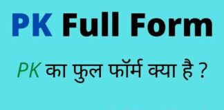 PK Full Form in Hindi and English – पीके का फुल फॉर्म क्या होता है ? PK Full Form in Hindi and English - पीके का फुल फॉर्म क्या होता है ?