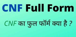 CNF Full Form in Hindi and English – सीएनएफ का फुल फॉर्म क्या है ? CNF Full Form in Hindi and English - सीएनएफ का फुल फॉर्म क्या है ?