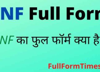 CNF Full Form in Hindi and English – सीएनएफ का फुल फॉर्म क्या है ? CNF Full Form in Hindi and English - सीएनएफ का फुल फॉर्म क्या है ?