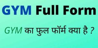 GYM Full Form in Hindi and English – जिम का फुल फॉर्म क्या होता है ? GYM Full Form in Hindi and English - जिम का फुल फॉर्म क्या होता है ?