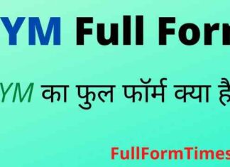 GYM Full Form in Hindi and English – जिम का फुल फॉर्म क्या होता है ? GYM Full Form in Hindi and English - जिम का फुल फॉर्म क्या होता है ?