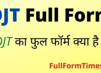 OJT Full Form in Hindi / English – ओजेटी का फुल फॉर्म क्या होता है ? OJT Full Form in Hindi / English - ओजेटी का फुल फॉर्म क्या होता है ?