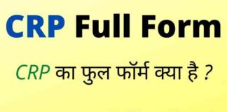 CRP Full Form in Hindi and English – सीआरपी का फुल फॉर्म क्या है ? CRP Full Form in Hindi and English - सीआरपी का फुल फॉर्म क्या है ?