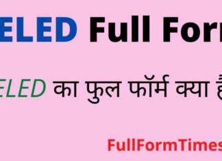 DELED Full Form in Hindi / English – डीएलएड का फुल फॉर्म क्या है ? DELED Full Form in Hindi / English - डीएलएड का फुल फॉर्म क्या है ?