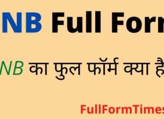 DNB Full Form in Hindi and English – डीएनबी का फुल फॉर्म क्या है ? DNB Full Form in Hindi and English - डीएनबी का फुल फॉर्म क्या है ?