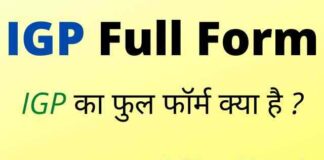 IGP Full Form in Hindi & English – आईजीपी का फुल फॉर्म क्या होता है ? IGP Full Form in Hindi & English - आईजीपी का फुल फॉर्म क्या होता है ?