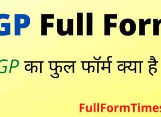 IGP Full Form in Hindi & English – आईजीपी का फुल फॉर्म क्या होता है ? IGP Full Form in Hindi & English - आईजीपी का फुल फॉर्म क्या होता है ?