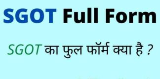 SGOT Full Form in Hindi / English – एसजीओटी का फुल फॉर्म क्या है ? SGOT Full Form in Hindi / English - एसजीओटी का फुल फॉर्म क्या है ?
