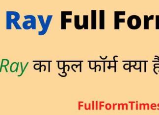 X Ray Full Form in Hindi / English – एक्स रे का फुल फॉर्म क्या होता है ? X Ray Full Form in Hindi / English - एक्स रे का फुल फॉर्म क्या होता है ?