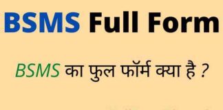 BSMS Full Form in Hindi – बीएसएमएस का फुल फॉर्म मेडिकल में क्या है ? BSMS Full Form in Hindi - बीएसएमएस का फुल फॉर्म मेडिकल में क्या है ?