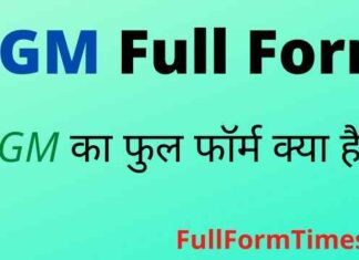 DGM Full Form in Hindi / English – डीजीएम का फुल फॉर्म क्या होता है ? DGM Full Form in Hindi / English - डीजीएम का फुल फॉर्म क्या होता है ?