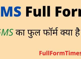 GMS Full Form in Hindi & English – जीएमएस का फुल फॉर्म क्या है ? GMS Full Form in Hindi & English - जीएमएस का फुल फॉर्म क्या है ?