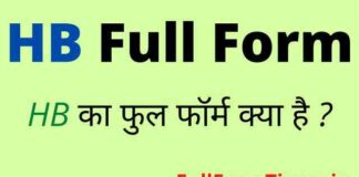 HB Full Form in Hindi – एचबी का फुल फॉर्म Medical में क्या होता है ? HB Full Form in Hindi - एचबी का फुल फॉर्म Medical में क्या होता है ?