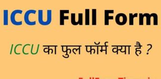 ICCU Full Form in Hindi / English – आईसीसीयू का फुल फॉर्म क्या है ? ICCU Full Form in Hindi / English - आईसीसीयू का फुल फॉर्म क्या है ?