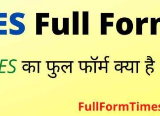 IES Full Form in Hindi / English – आईईएस का फुल फॉर्म क्या होता है ? IES Full Form in Hindi / English - आईईएस का फुल फॉर्म क्या होता है ?