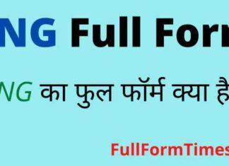 PNG Full Form in Hindi & English – पीएनजी का फुल फॉर्म क्या होता है ? PNG Full Form in Hindi & English - पीएनजी का फुल फॉर्म क्या होता है ?