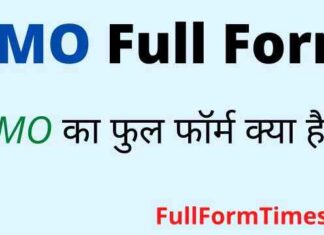 RMO Full Form in Medical – आरएमओ का फुल फॉर्म हिंदी में क्या है ? RMO Full Form in Medical - आरएमओ का फुल फॉर्म हिंदी में क्या है ?
