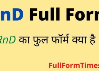 RnD Full Form in Hindi / English – आरएनडी का फुल फॉर्म क्या होता है ? RnD Full Form in Hindi / English - आरएनडी का फुल फॉर्म क्या होता है ?