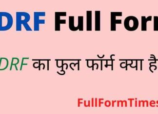SDRF Full Form in Hindi / English – एसडीआरएफ का फुल फॉर्म क्या है ? SDRF Full Form in Hindi / English - एसडीआरएफ का फुल फॉर्म क्या है ?