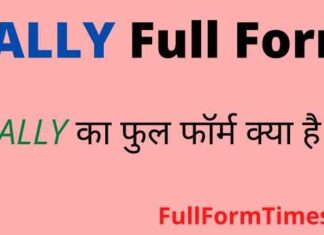 TALLY Full Form in Hindi & English – टैली का फुल फॉर्म क्या होता है ? TALLY Full Form in Hindi & English - टैली का फुल फॉर्म क्या होता है ?