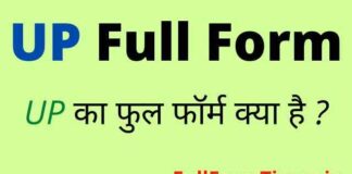 UP Full Form in Hindi and English – यूपी का फुल फॉर्म क्या होता है ? UP Full Form in Hindi and English - यूपी का फुल फॉर्म क्या होता है ?